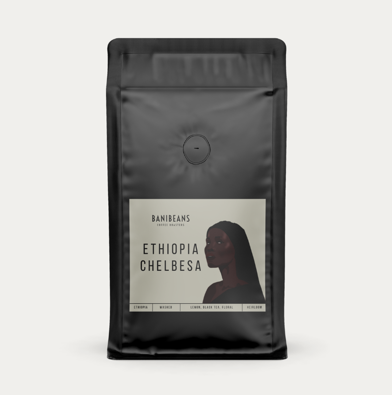 Ethiopia Chelbesa - washed